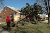 Wessling Tree Service