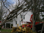 Wessling Tree Service